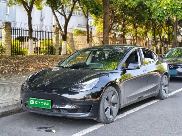 Tesla Model 3 Model 3 2022 Rear-Wheel Drive Version