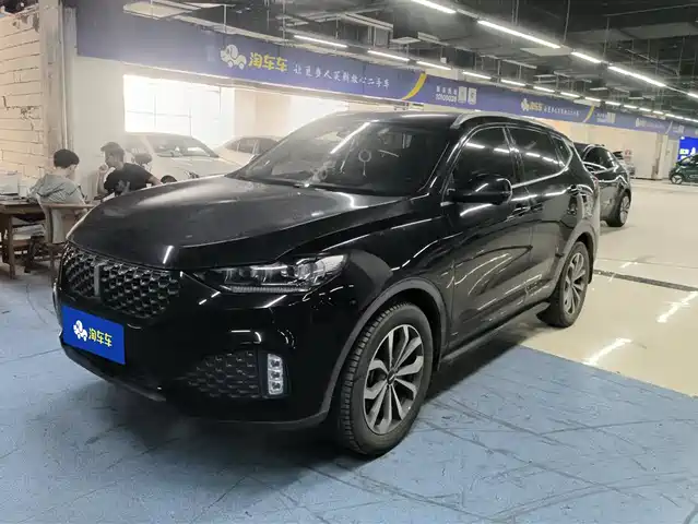 Wei Brand Wei Brand Vv6 Weipai Vv6 2020 2.0t 2wd Smart Enjoy+