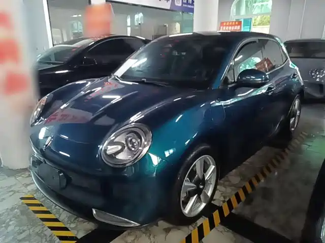 Euler Euler Good Cat Euler Good Cat 2022 Model 400km Standard Battery Life Luxury Model Lithium Iron Phosphate