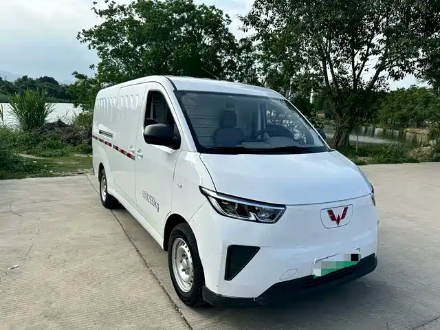 Wuling Motors Wuling Yangguang Wuling Yangguang 2024 300km Practical Window-Sealed Version 60kw