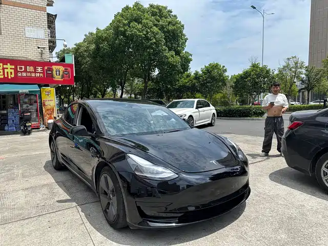 Tesla Model 3 Model 3 2022 Rear-Wheel Drive Version