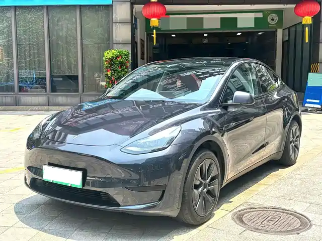 Tesla Model Y Model Y 2024 Rear-Wheel Drive Version