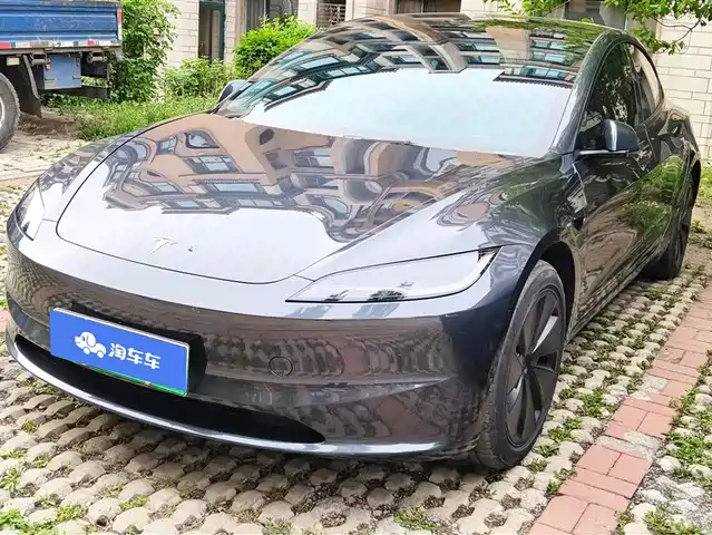 Tesla Model 3 Model 3 2025 Rear-Wheel Drive Version
