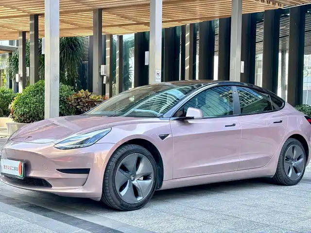Tesla Model 3 Model 3 2020 Standard Range Rear Drive Upgraded Version