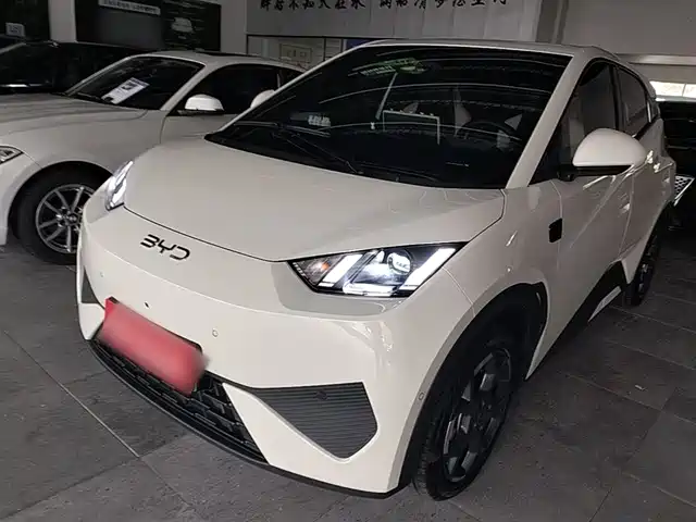 Byd Seagull Seagull 2025 Smart Driving Version 305km Free Version