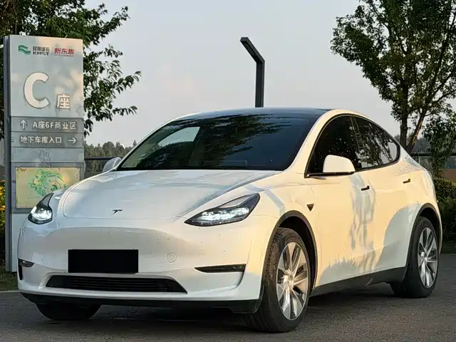 Tesla Model Y Model Y 2022 Facelift, Long-Range All-Wheel Drive Version