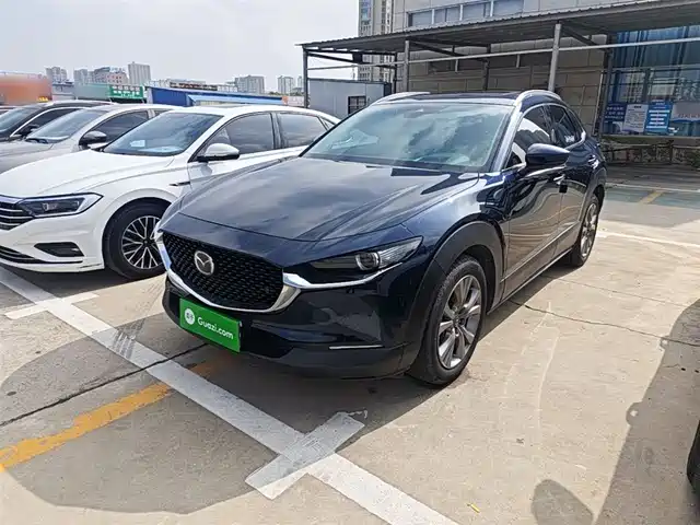 Mazda Mazda Cx-30 Mazda Cx-30 2020 2.0l Automatic Zunyue Type
