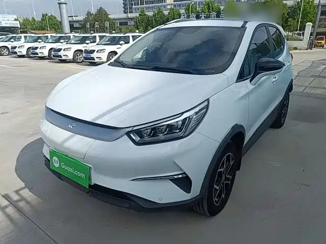 Byd Yuan Pro Yuan Pro 2021 Model 401km Premium Model — фото