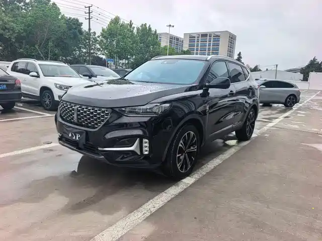 Wei Brand Wei Brand Vv6 Weipai Vv6 2021 2.0t 2wd Smart Enjoy+