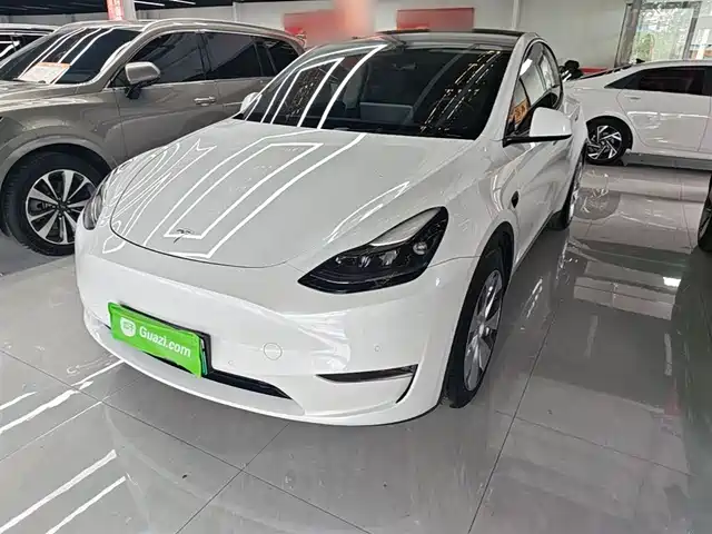Tesla Model Y Model Y 2021 Standard Range Rear-Wheel Drive Version — фото