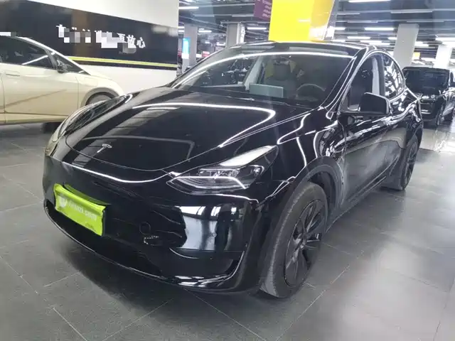 Tesla Model Y Model Y 2023 Rear-Wheel Drive Version