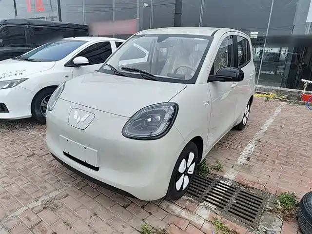 Wuling Motors Hongguang Miniev Hongguang Miniev 2025 Four-Door Version Advanced Model