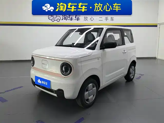 Geely Galaxy Panda Panda 2024 Panda Mini 200km Endurance Bear