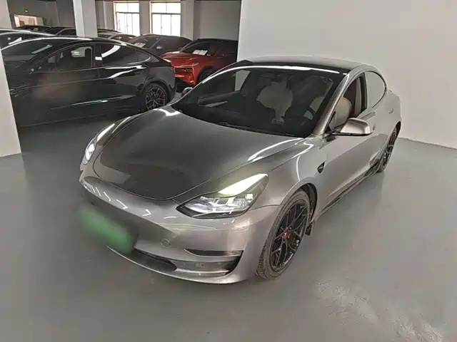 Tesla Model 3 Model 3 2021 Performance High-Performance All-Wheel Drive Version