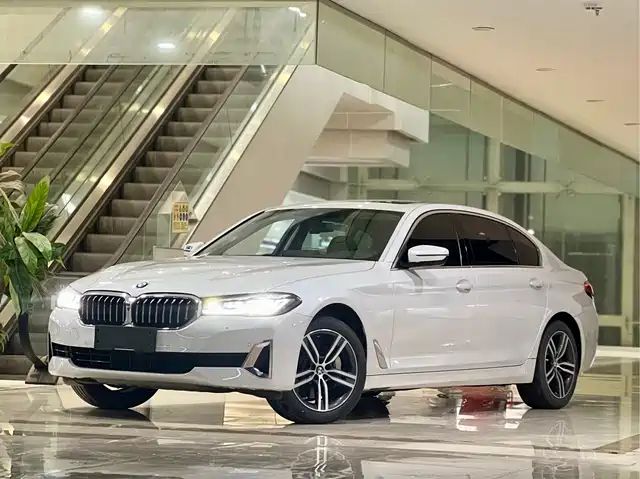 Bmw Bmw 5 Series Bmw 5 Series 2021 530li Leading Luxury Package