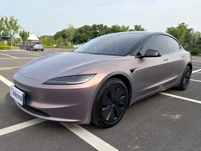 Tesla Model 3 Model 3 2025 Rear-Wheel Drive Version