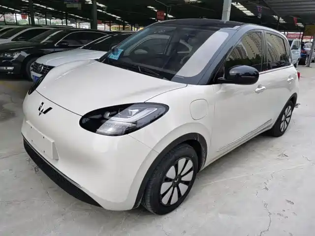 Wuling Motors Wuling Bingo Wuling Bingo 2024 Model 333km Yuexiang Model