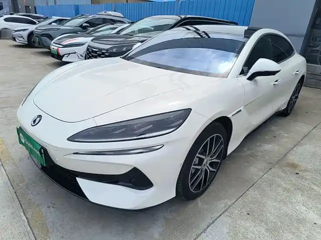 Gain Momentum Denza Z9 Denza Z9 2024 1100km Four-Wheel Drive Max Version — фото