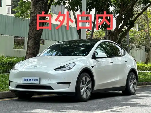 Tesla Model Y Model Y 2022 Rear-Wheel Drive Version — фото