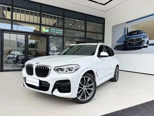 Bmw Bmw X3 Bmw X3 2021 Xdrive30i Leading M Sports Package