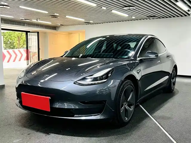 Tesla Model 3 Model 3 2020 Standard Range Rear Drive Upgraded Version
