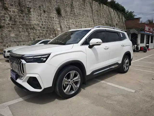 Geely Automobile Haoyue L Haoyue L 2023 2.0t Dct Premium Model