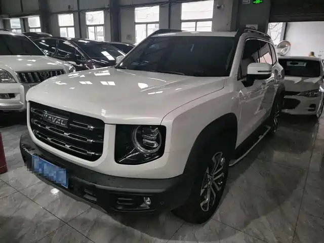 Harvard Harvard Dog Haval Big Dog 2022 1.5t Dct Two-Wheel Drive Border Collie Version