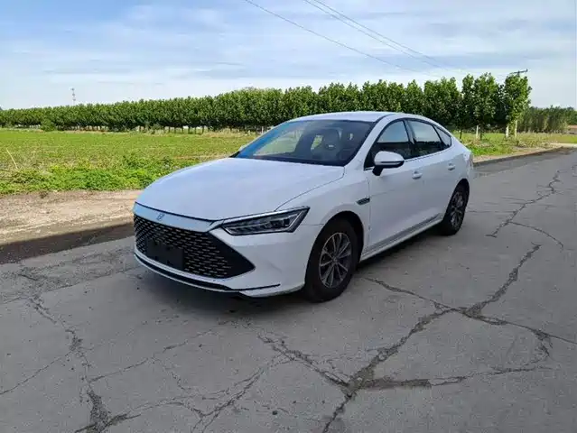 Byd Qin Plus Qin Plus 2024 Honor Edition Dm-I 55km Leading Type — фото