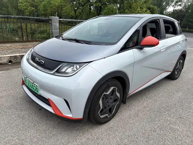 Byd Dolphin Dolphin 2021 405km Fashion Version
