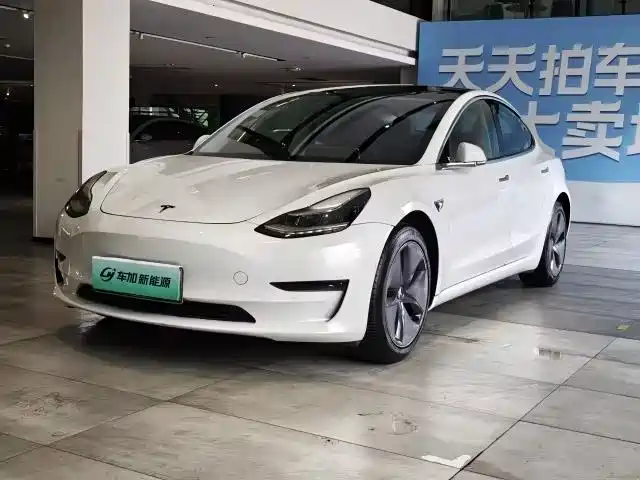 Tesla Model 3 (imported) Model 3 Imported 2019 Long Range Rear Drive Version — фото