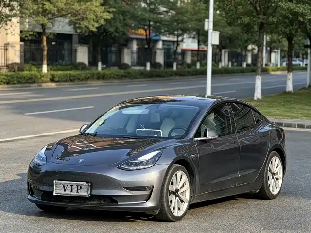 Tesla Model 3 (imported) Model 3 Imported 2019 Long Range Rear Drive Version — фото