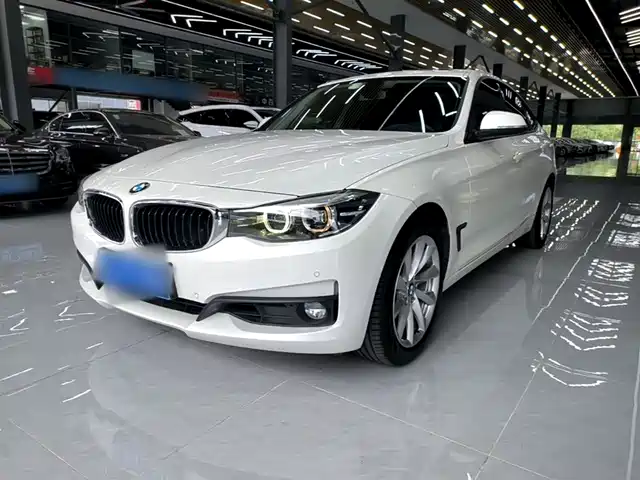 Bmw Bmw 3 Series Gt Bmw 3 Series Gt 2019 320i Fashion Model — фото