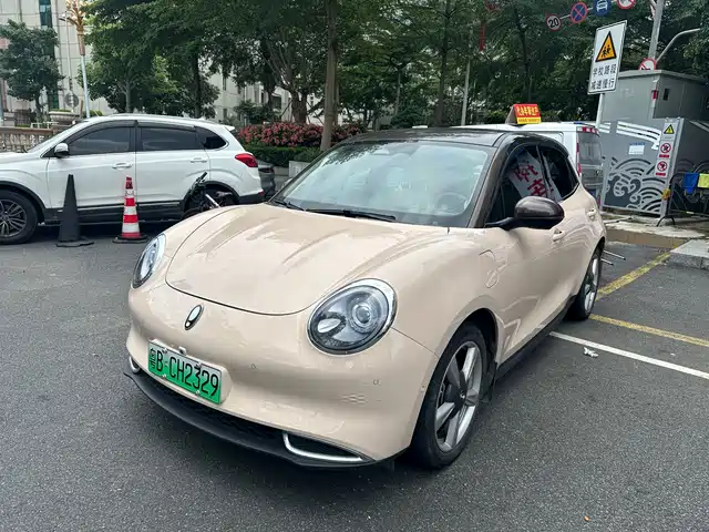 Euler Euler Good Cat Euler Good Cat 2021 Model 400km Standard Battery Life Athena Version Ternary Lithium