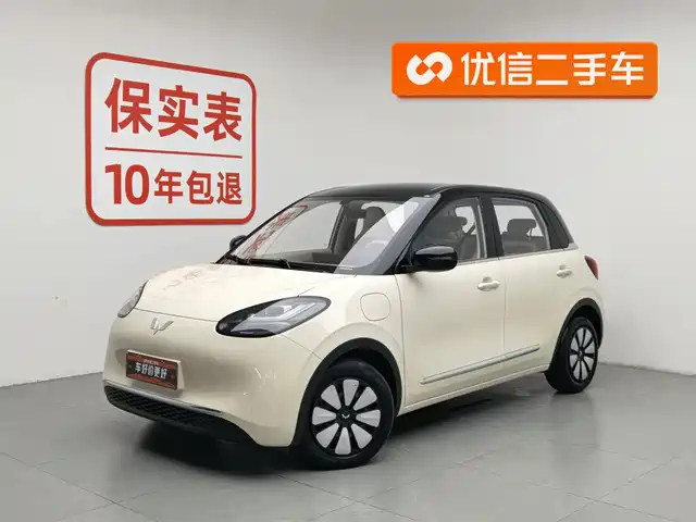 Wuling Motors Wuling Bingo Wuling Bingo 2025 Model 333km Lingxi Internet Model
