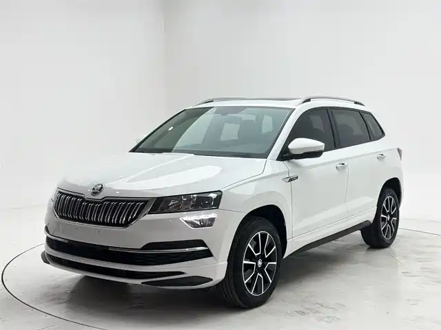Skoda Korok Korok 2024 TSI280 Exclusive Edition — фото