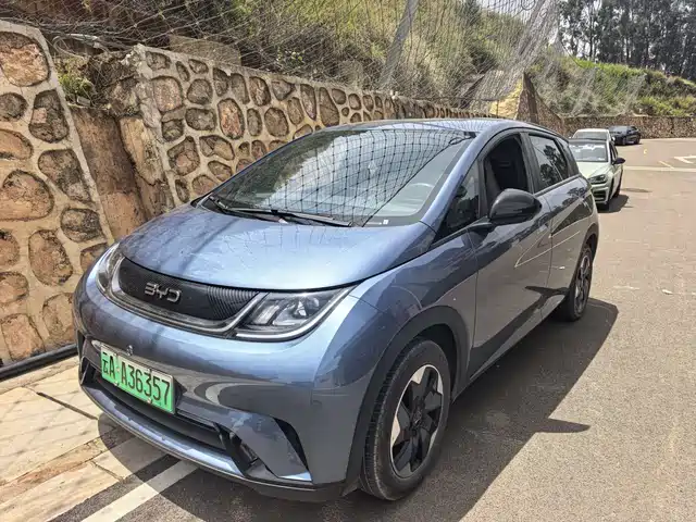 Byd Dolphin Dolphin 2025 420km Free Edition