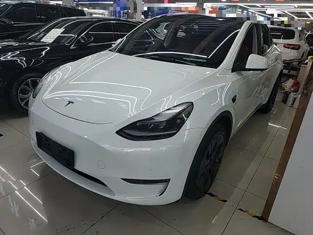 Tesla Model Y Model Y 2023 Long-Range All-Wheel Drive Version