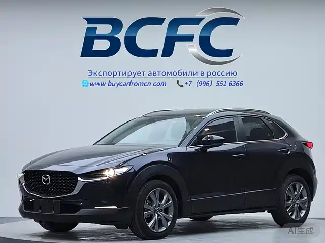 Mazda Mazda Cx-30 Mazda Cx-30 2021 2.0l Automatic Jiayue Type