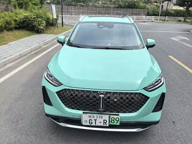 Wei Brand Macchiato DHT-PHEV Macchiato Dht-Phev 2021 1.5l Special Edition — фото