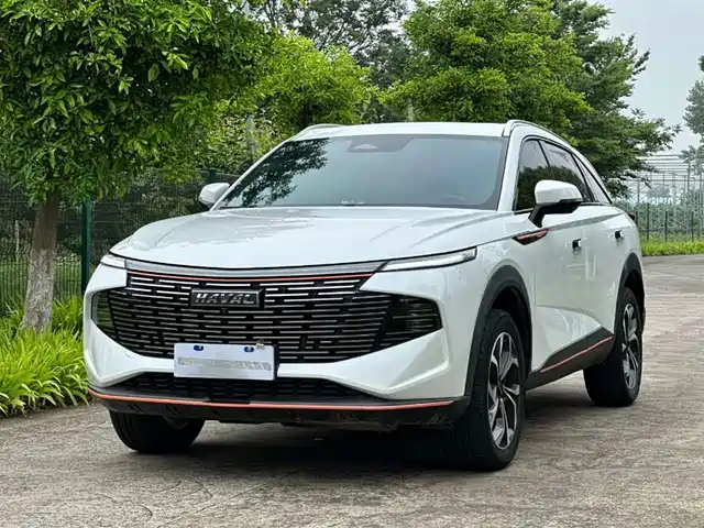 Harvard Harvard Mythical Beast Haval Beast 2022 1.5t Zhizun Edition