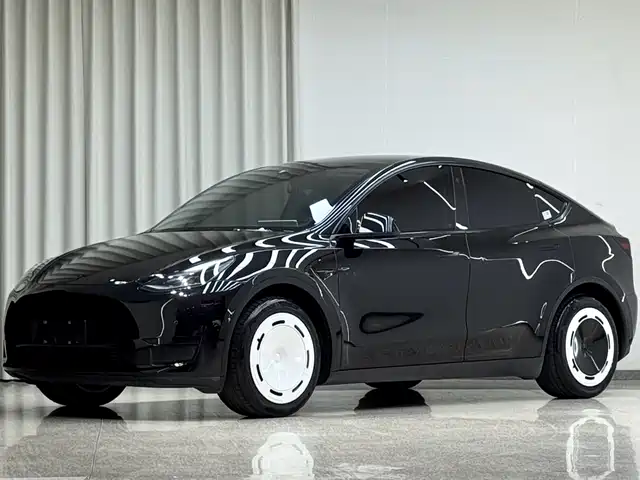 Tesla Model Y Model Y 2022 Rear-Wheel Drive Version