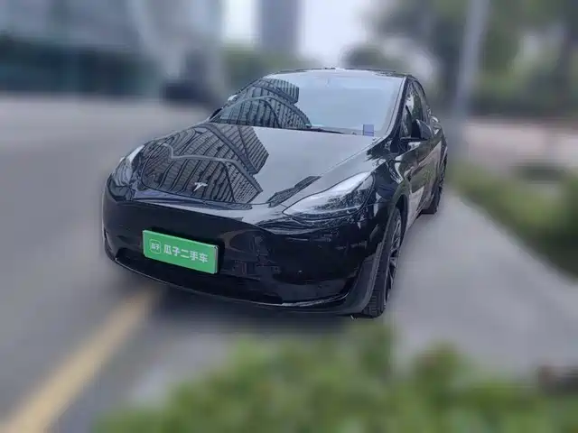 Tesla Model Y Model Y 2023 Rear-Wheel Drive Version — фото