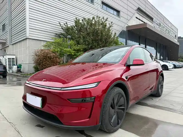 Tesla Model Y Model Y 2025 Rear-Wheel Drive Version — фото