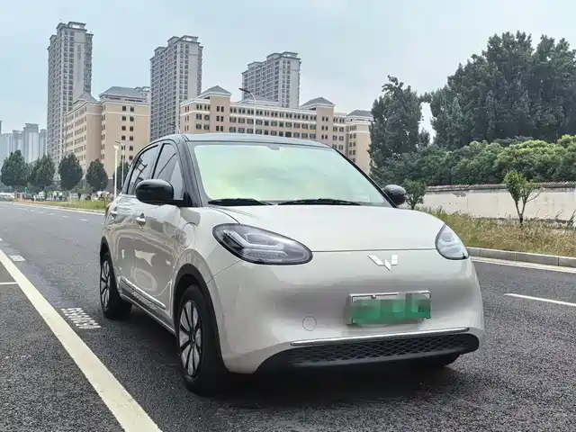 Wuling Motors Wuling Bingo Wuling Bingo 2024 Model 333km Yuexiang Model