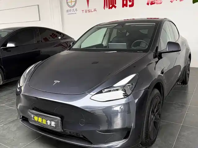 Tesla Model Y Model Y 2024 Rear-Wheel Drive Version — фото