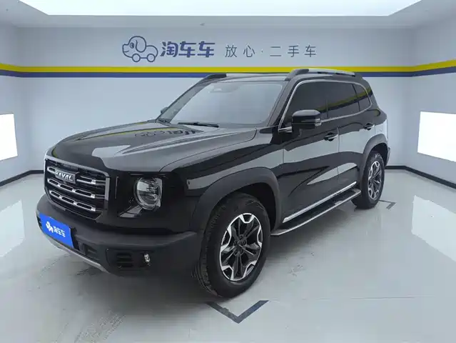 Harvard Harvard Dog Haval Big Dog 2021 2.0t Dct Four-Wheel Drive Chinese Pastoral Dog Version