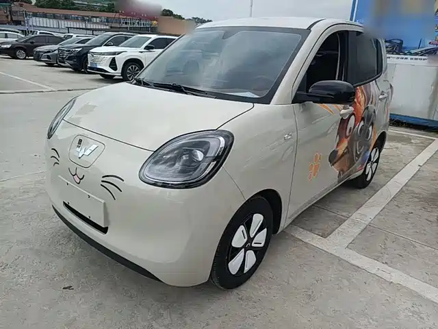 Wuling Motors Hongguang Miniev Hongguang Miniev 2025 Four-Door Version Advanced Model
