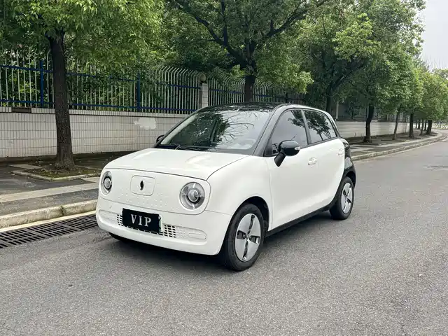 Euler Euler Black Cat Euler Black Cat 2019 310km Smart Edition