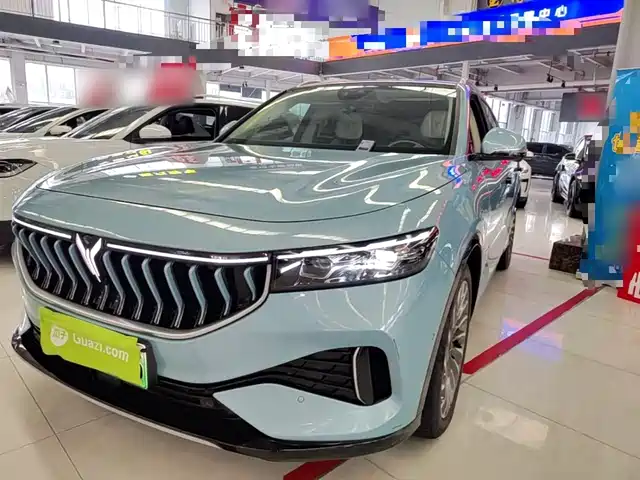 Lantu Automobile Lantu Free Lantu Free 2021 Four-Wheel Drive Standard Extended Range Exclusive Luxury Package