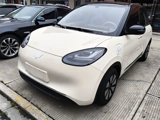 Wuling Motors Wuling Bingo Wuling Bingo 2025 Model 333km Yuexiang Model